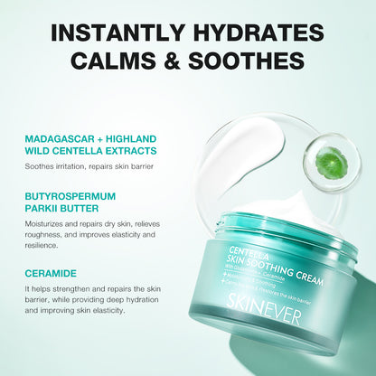 Blemish Repair Centella & Snail Mucin Set