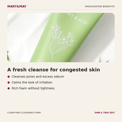 Mary&May Clarifying Cleansing Foam highlighted benefits
